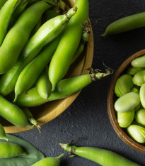 Bob obecný bílý Dreifach Weisse - Vitia faba - semena - 20 ks