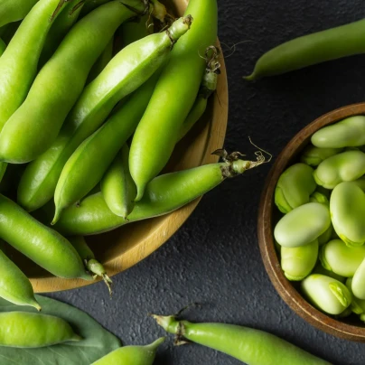 Bob obecný bílý Dreifach Weisse - Vitia faba - semena - 20 ks