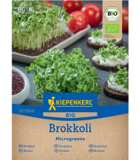 BIO Semena na klíčky - brokolice - Kiepenkerl - bio semena - 20 g