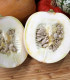 Tykev White Pearl - Cucurbita pepo - semena - 6 ks