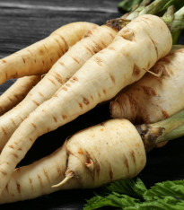 Pastinák dlouhý bílý Halblange - Pastinaca sativa - semena - 1 g