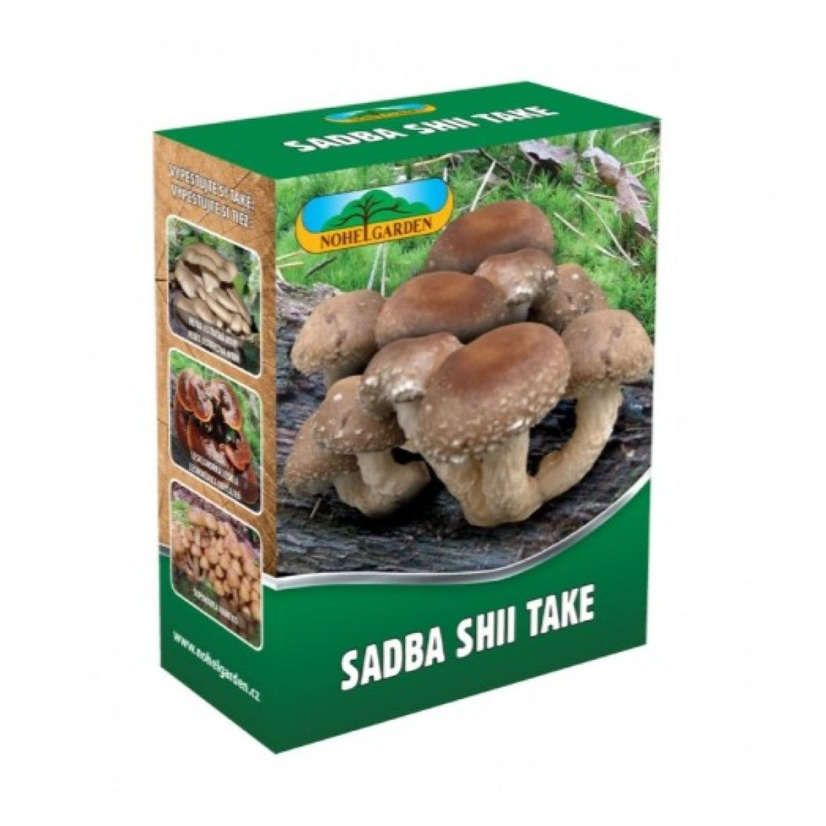 Shii take - Houževnatec jedlý - Lentinula edodes - sadba - 250 ml