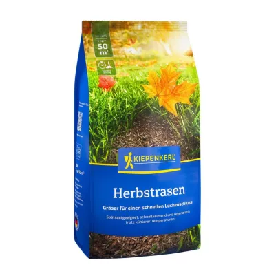 Trávník pro podzimní dosévání - Kiepenkerl - travní směs - 1 kg