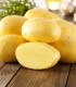 BIO sadbové brambory Agria - Solanum tuberosum - bio brambory - 10 ks