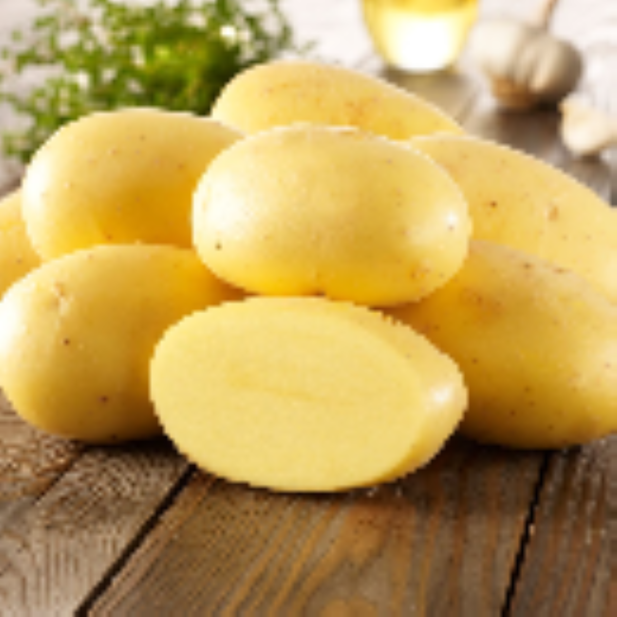BIO sadbové brambory Agria - Solanum tuberosum - bio brambory - 10 ks