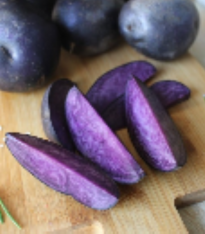 Sadbové brambory Violet Star - Solanum tuberosum - brambory - 5 ks