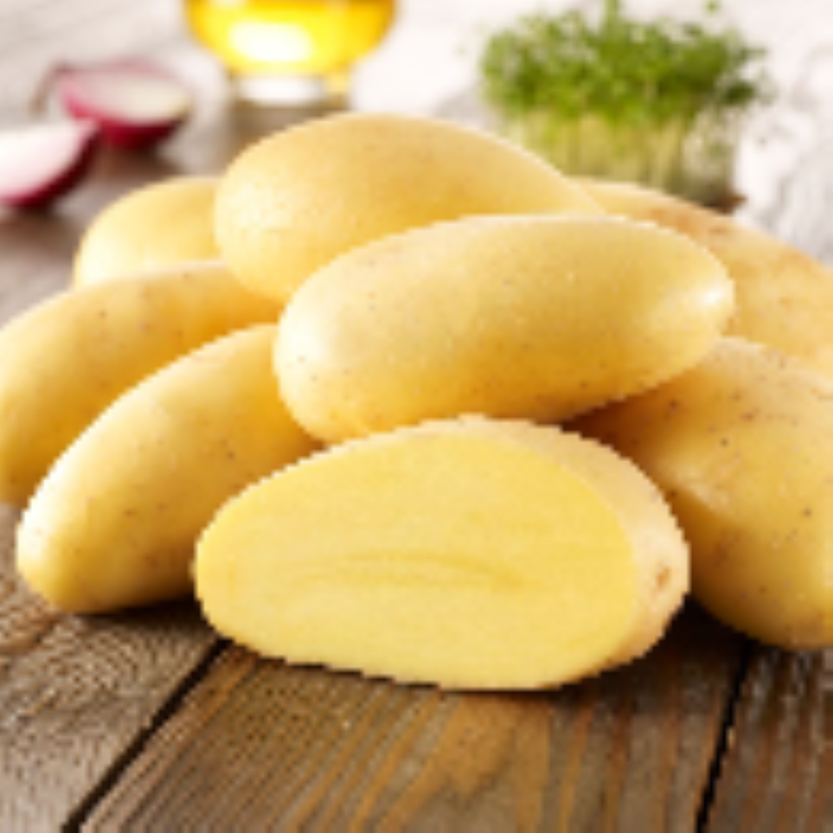 Sadbové brambory Cilena - Solanum tuberosum - brambory - 10 ks