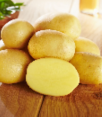 Sadbové brambory Glorietta - Solanum tuberosum - brambory - 10 ks