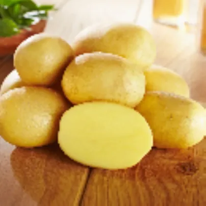 Sadbové brambory Glorietta - Solanum tuberosum - brambory - 10 ks