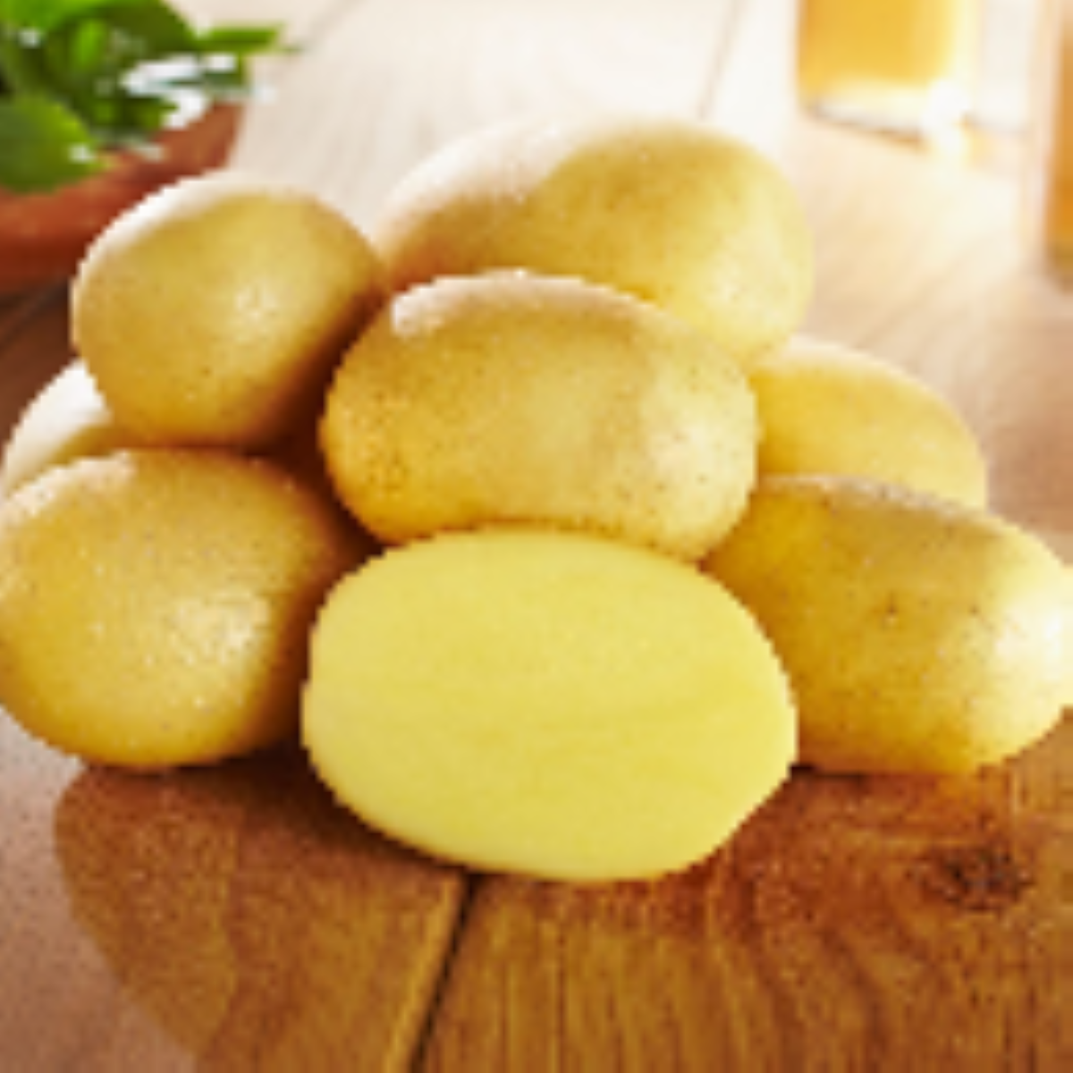 Sadbové brambory Glorietta - Solanum tuberosum - brambory - 10 ks
