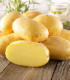 Sadbové brambory Bernina - Solanum tuberosum - brambory - 10 ks