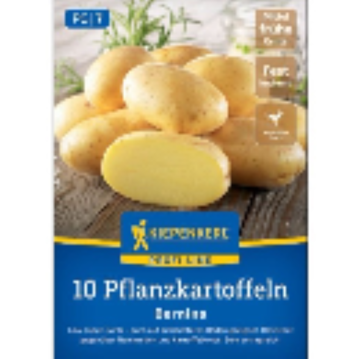 Sadbové brambory Bernina - Solanum tuberosum