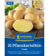 Sadbové brambory Linda - Solanum tuberosum