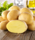 Sadbové brambory Linda - Solanum tuberosum - brambory - 10 ks