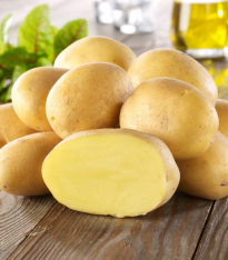 Sadbové brambory Linda - Solanum tuberosum - brambory - 10 ks