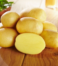 Sadbové brambory Glorietta - Solanum tuberosum - brambory - 10 ks