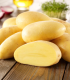 Sadbové brambory Cilena - Solanum tuberosum