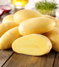 Sadbové brambory Sieglinde - Solanum tuberosum - brambory - 10 ks