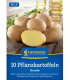 Sadbové brambory Gunda - Solanum tuberosum