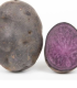 Sadbové brambory – Sadbové brambory Violet Star – Solanum tuberosum