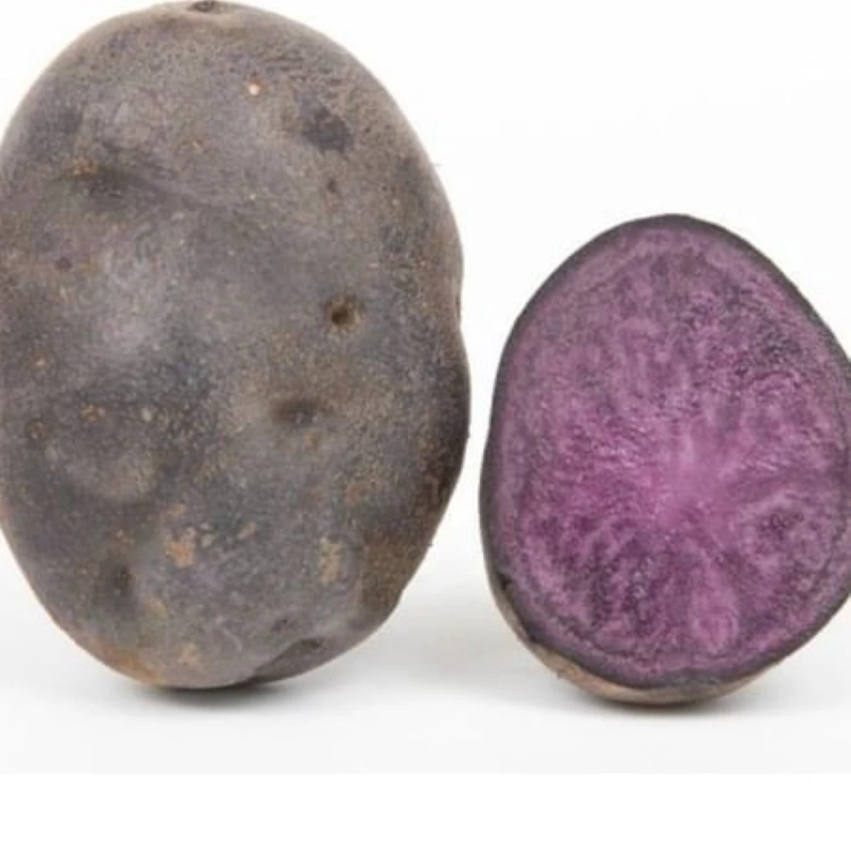 Sadbové brambory – Sadbové brambory Violet Star – Solanum tuberosum