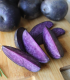 Sadbové brambory Violet Star - Solanum tuberosum - brambory - 5 ks
