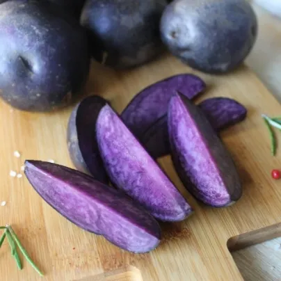 Sadbové brambory Violet Star - Solanum tuberosum - brambory - 5 ks