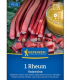 Sazenice rebarbory – Rebarbora Valentine – Rheum rhabarbarum