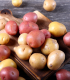 BIO Sadbové brambory - 4 druhy - směs odrůd - Solanum tuberosum - bio brambory - 12 ks