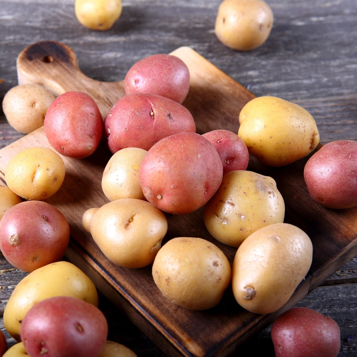 BIO Sadbové brambory - 4 druhy - směs odrůd - Solanum tuberosum - bio brambory - 12 ks