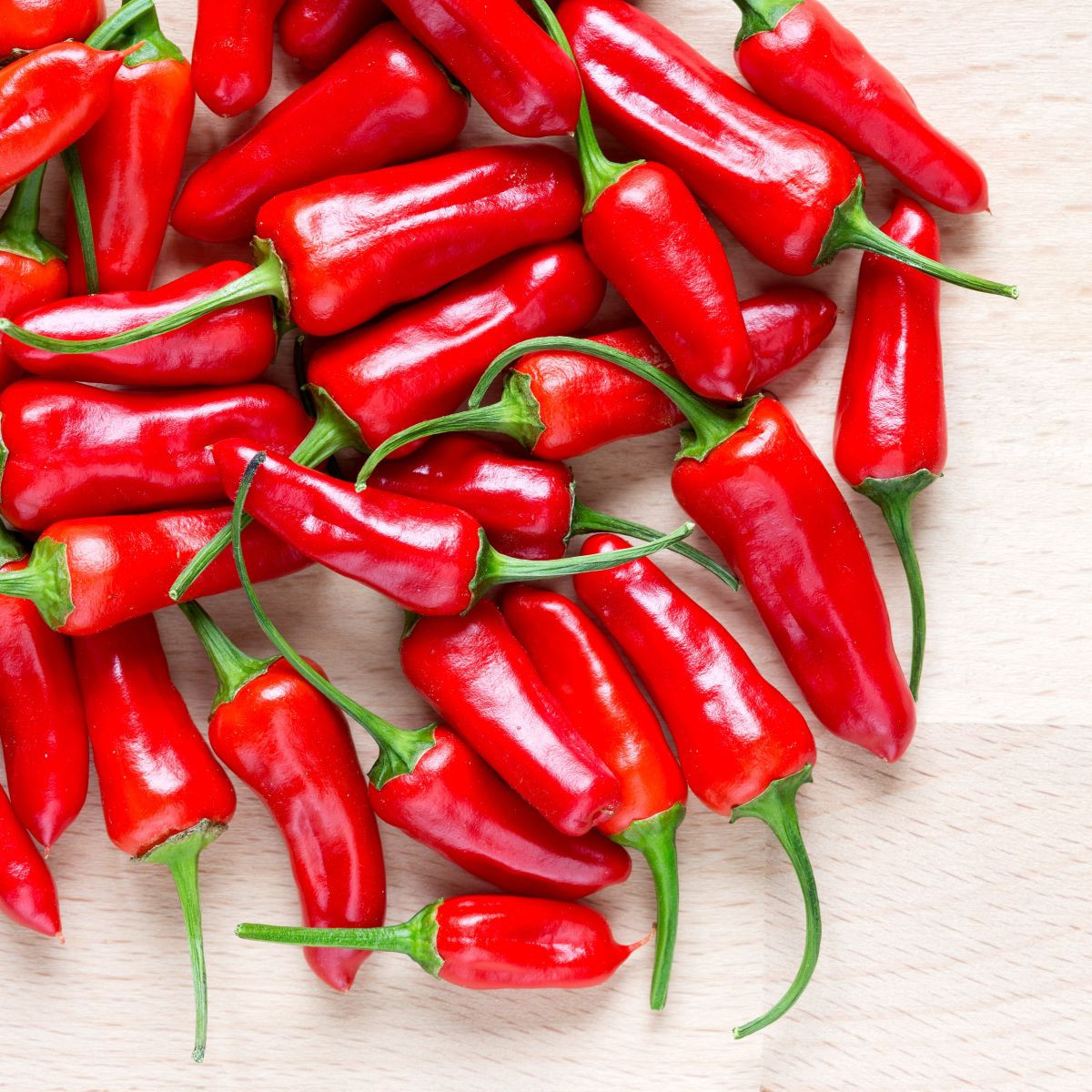 Semena chilli papričky – Chilli Apache F1 – Capsicum annuum