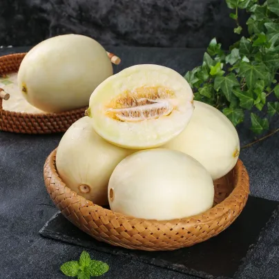 Meloun cukrový Kiku - Cucumis melo - semena - 6 ks