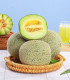 Meloun Tenor F1 - Cucumis melo - semena - 6 ks