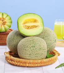 Meloun Tenor F1 - Cucumis melo - semena - 6 ks