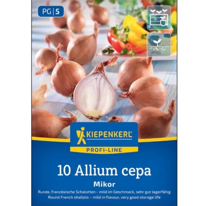 Cibule šalotky – Cibule šalotka Mikor – Allium cepa