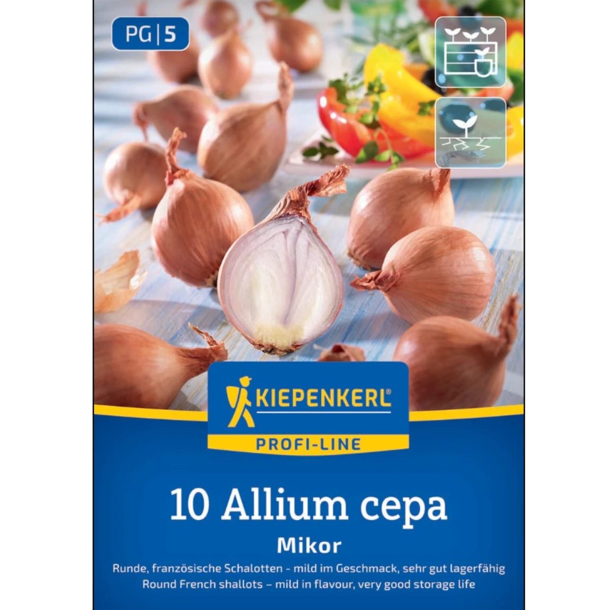 Cibule šalotky – Cibule šalotka Mikor – Allium cepa