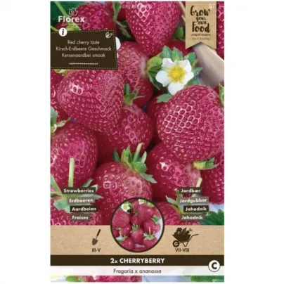 Sazenice jahodníku – Jahodník Cherryberry – Fragaria ananassa