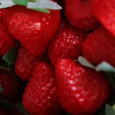 Jahodník Cherryberry - Fragaria ananassa - prostokořenné sazenice - 2 ks