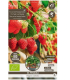 Sazenice jahodníku – Jahodník převislý Pendula – Fragaria ananassa