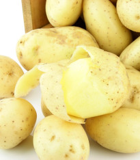 Sadbové brambory Camelia – Solanum tuberosum – žluté polorané