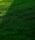 Trávník pro stinná stanoviště Premium - Kiepenkerl - travní směs - 25 g