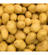 Sadbové brambory Princess - Solanum tuberosum - 5 kg
