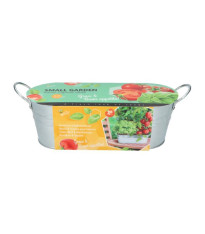 Buzzy - Okenní zahrádka Caprese salát - Pieterpik - pěstební sada - 1 ks