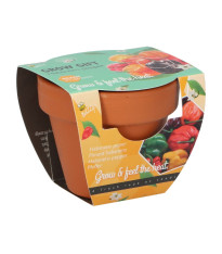 Buzzy Grow Gifts - Mini sada pro pěstování chilli papriky - Pieterpik - pěstební sada - 1 ks