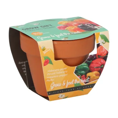 Buzzy Grow Gifts - Mini sada pro pěstování chilli papriky - Pieterpik - pěstební sada - 1 ks