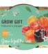 Buzzy Grow Gifts - Mini sada pro pěstování chilli papriky - Pieterpik - pěstební sada - 1 ks