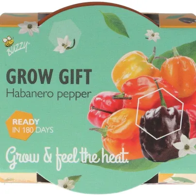 Buzzy Grow Gifts - Mini sada pro pěstování chilli papriky - Pieterpik - pěstební sada - 1 ks