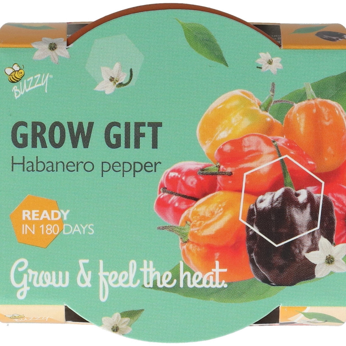 Buzzy Grow Gifts - Mini sada pro pěstování chilli papriky - Pieterpik - pěstební sada - 1 ks