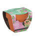 Buzzy Grow Gifts - Mini sada pro pěstování citlivky - Pieterpik - pěstební sada - 1 ks