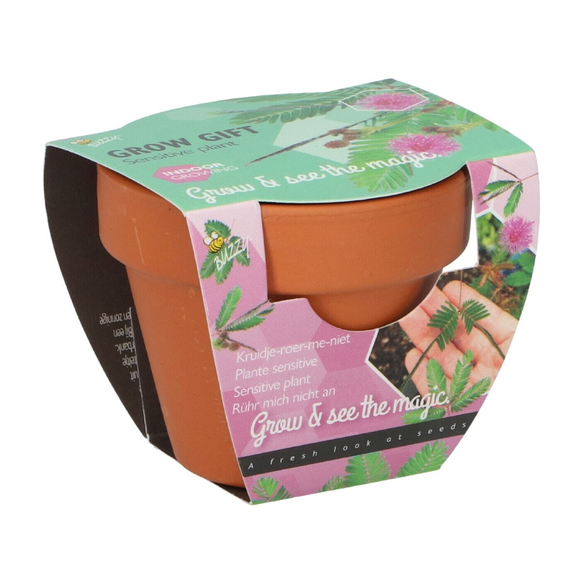 Buzzy Grow Gifts - Mini sada pro pěstování citlivky - Pieterpik - pěstební sada - 1 ks